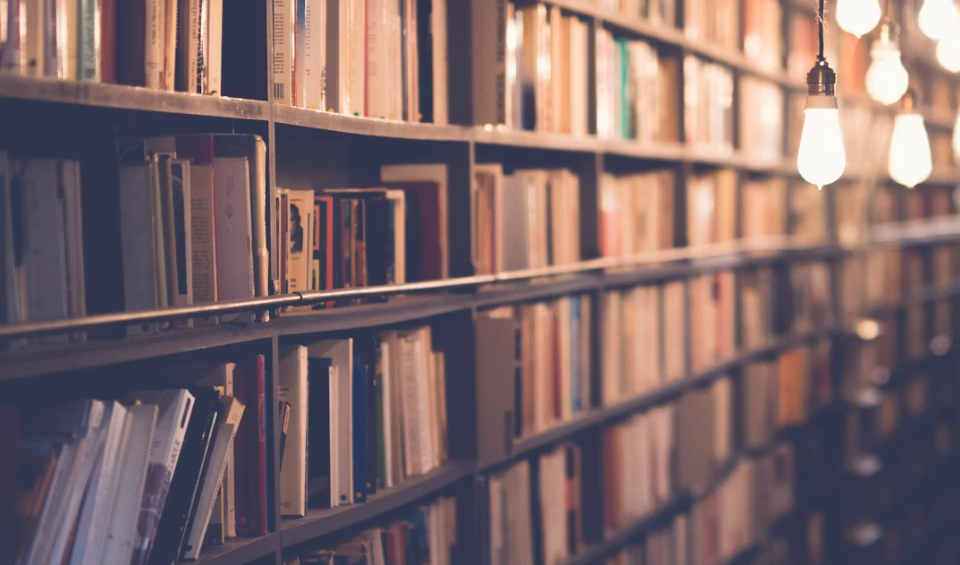 Bukan Sekadar Kumpulan Halaman, Ini Alasan Buku Disebut Jendela Dunia